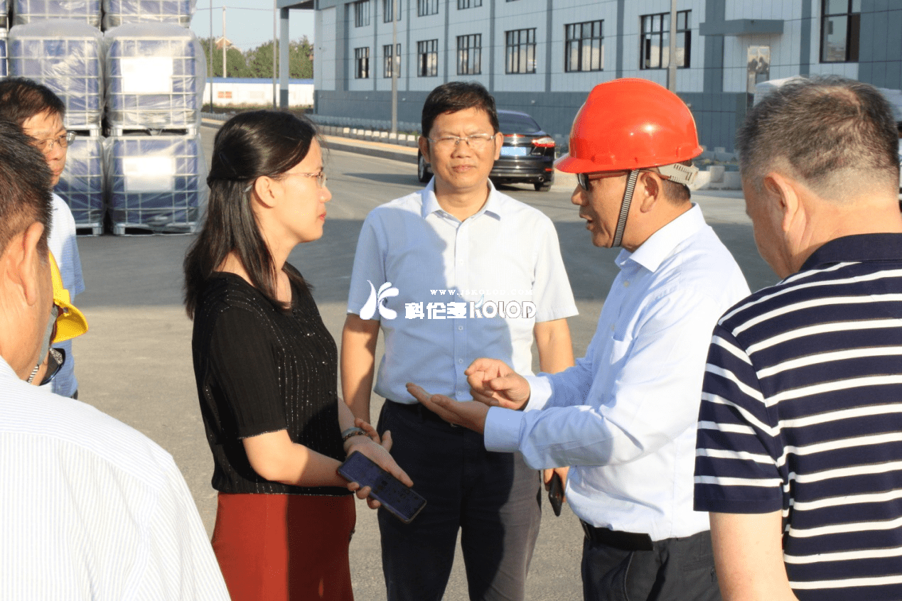 灌云縣委副書記、代縣長曹明麗蒞臨科洛吉公司檢查指導工作